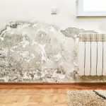 Mold is not only an annoying and persistent issue, but it can even be harmful to the health of you and the ones you love. Luckily, you can file a mold remediation insurance claim. Here is everything you need to know about mold and mold remediation insurance claims in Naples. Mold Can Be Harmful to Your Health Mold releases spores and these can lead to a number of health issues. For example, after inhaling spores, you may experience allergy symptoms, such as itching, coughing, headaches, difficulty breathing, and exhaustion. The harm that mold can cause is the reason behind mold remediation. Mold Is Not Always Covered By Homeowners Insurance Usually, mold is only covered by homeowners insurance if it is the result of certain named perils. These perils include water damage from a burst pipe or a broken appliance. Mold and water damage from extinguishing a fire or a frozen pipe can be covered by home insurance. That coverage will likely not replace any broken devices or the cause of the damage. Instead, the mold itself and any water damage will be covered. The amount of damage covered may be capped at a certain cost. Certain Occurrences Are Not Covered When It Comes to Mold & Mold Remediation Insurance Claims in Naples If you encounter mold, it is important to know that it may not be covered by insurance depending on the cause. For example, mold that is the result of flooding will likely only be covered by flood insurance. Other issues are not covered if it could be argued that you could have addressed the issues earlier. Leaks and humidity are likely not covered. Understand Mold Removal Costs and Caps Mold removal can often cost between $15,000 and $30,000. Often, insurance companies will only pay between $1,000 and $10,000. In some cases, you can purchase additional mold coverage. However, this cost will differ depending on your state. Mold & Mold Remediation Insurance Claims in Naples Can Be Made Easy With Darryl Davis If you are dealing with mold and mold remediation insurance claims in Naples, Darryl Davis is here to help. We are extremely familiar with this issue and we look forward to using our expertise to help you. Call us at 954-709-3982 to make an appointment as soon as possible.