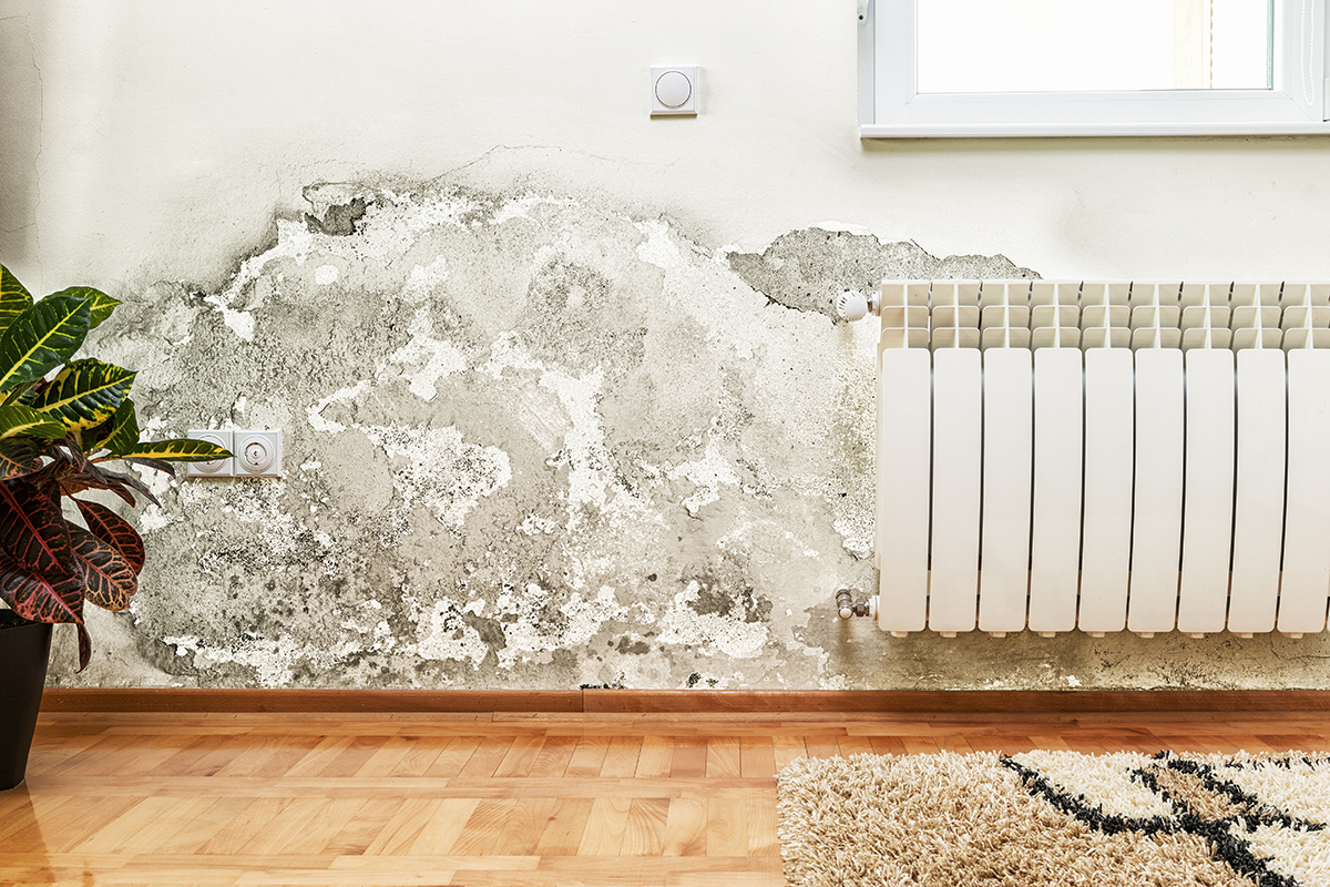 Mold is not only an annoying and persistent issue, but it can even be harmful to the health of you and the ones you love. Luckily, you can file a mold remediation insurance claim. Here is everything you need to know about mold and mold remediation insurance claims in Naples. Mold Can Be Harmful to Your Health Mold releases spores and these can lead to a number of health issues. For example, after inhaling spores, you may experience allergy symptoms, such as itching, coughing, headaches, difficulty breathing, and exhaustion. The harm that mold can cause is the reason behind mold remediation. Mold Is Not Always Covered By Homeowners Insurance Usually, mold is only covered by homeowners insurance if it is the result of certain named perils. These perils include water damage from a burst pipe or a broken appliance. Mold and water damage from extinguishing a fire or a frozen pipe can be covered by home insurance. That coverage will likely not replace any broken devices or the cause of the damage. Instead, the mold itself and any water damage will be covered. The amount of damage covered may be capped at a certain cost. Certain Occurrences Are Not Covered When It Comes to Mold & Mold Remediation Insurance Claims in Naples If you encounter mold, it is important to know that it may not be covered by insurance depending on the cause. For example, mold that is the result of flooding will likely only be covered by flood insurance. Other issues are not covered if it could be argued that you could have addressed the issues earlier. Leaks and humidity are likely not covered. Understand Mold Removal Costs and Caps Mold removal can often cost between $15,000 and $30,000. Often, insurance companies will only pay between $1,000 and $10,000. In some cases, you can purchase additional mold coverage. However, this cost will differ depending on your state. Mold & Mold Remediation Insurance Claims in Naples Can Be Made Easy With Darryl Davis If you are dealing with mold and mold remediation insurance claims in Naples, Darryl Davis is here to help. We are extremely familiar with this issue and we look forward to using our expertise to help you. Call us at 954-709-3982 to make an appointment as soon as possible.