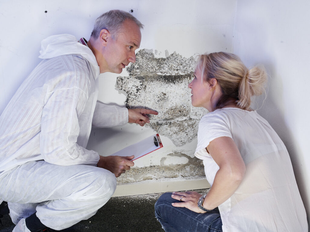 3 Ways A Public Adjuster Can Help You With Mold &amp; Mold