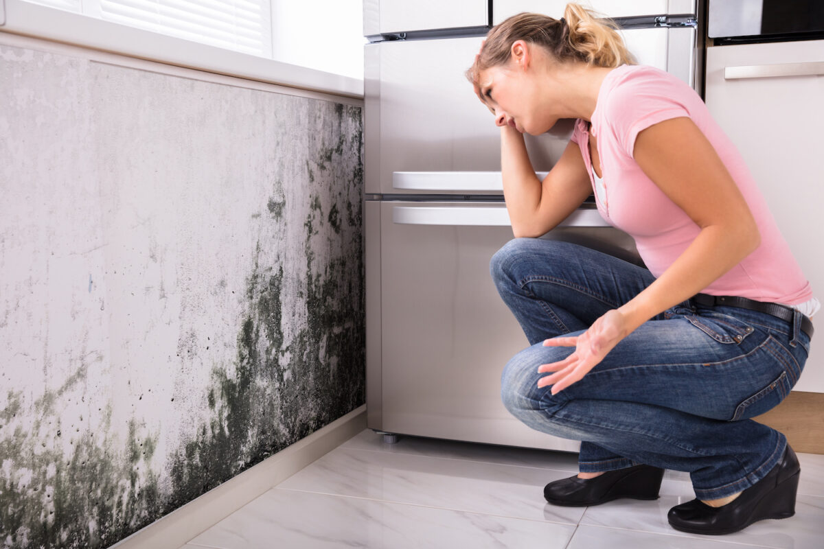 Mold & Mold Remediation Claims in Naples